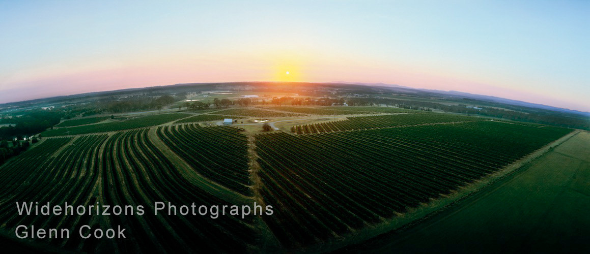 Vineyard Sunrise OE48-1315