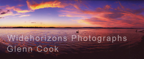 Pelican Sunset. Pelican Sunset    p4-1112